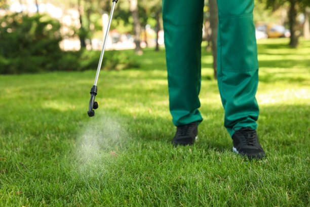 Best Pest Control Near Me  in North Lynnwood, WA