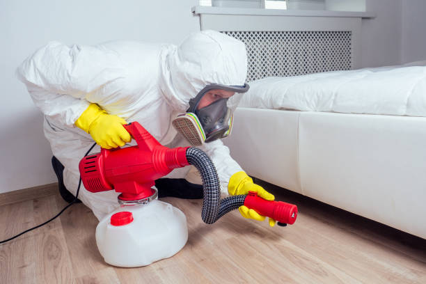 Best Best Pest Control Companies  in North Lynnwood, WA