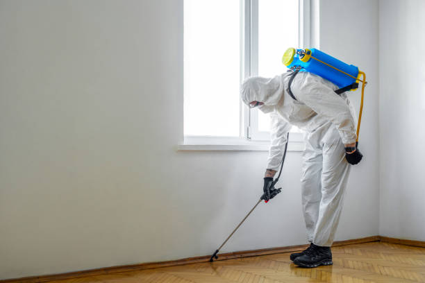 Best Rodent Control Near Me  in North Lynnwood, WA