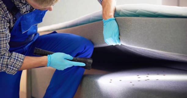 Best Affordable Pest Control Services  in North Lynnwood, WA