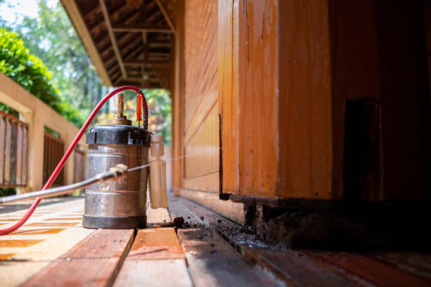 Best Pest Removal Services  in North Lynnwood, WA