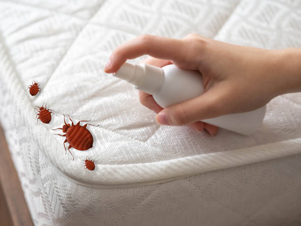 Best Flea Control Services  in North Lynnwood, WA