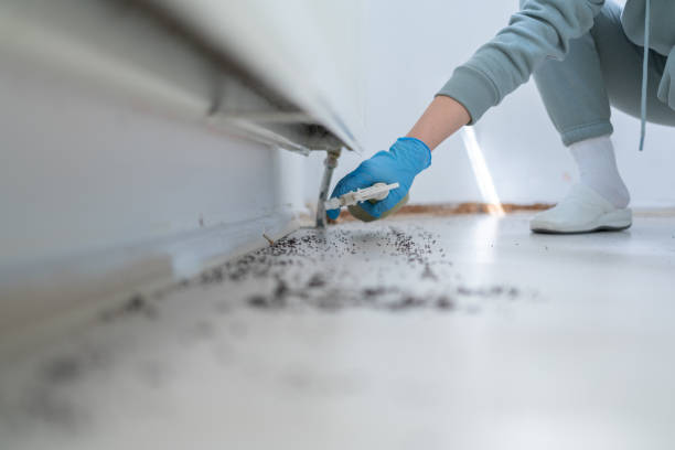 Best Exterminator Services  in North Lynnwood, WA